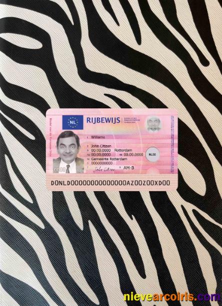 Netherland new driving license photolook